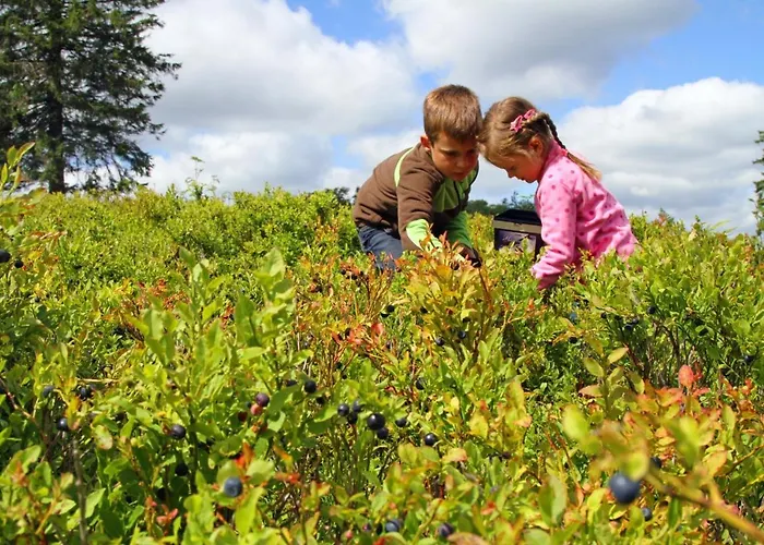 Appartamento Willkommen